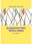 Евгений Соколов - Банкротство через МФЦ. За 6 шагов