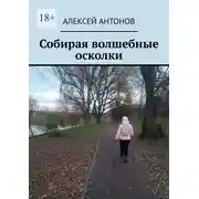 Постер книги Собирая волшебные осколки