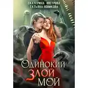 Постер книги Одинокий. Злой. Мой