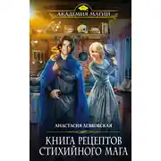 Постер книги Книга рецептов стихийного мага