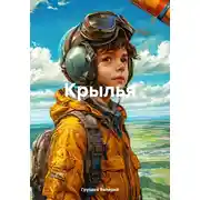 Постер книги Крылья