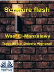 Wael El-Manzalawy - Scritture Flash