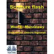 Постер книги Scritture Flash