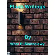 Постер книги Flash Writings