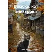 Постер книги Васюха, кот электрика