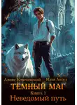 Илья Ангел - Тёмный маг. Книга 1. Неведомый путь