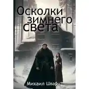 Постер книги Осколки зимнего света