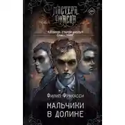 Постер книги Мальчики в долине