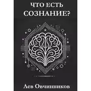 Постер книги Что есть сознание?