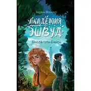 Постер книги Школа пяти Башен