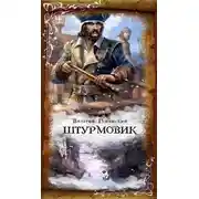 Постер книги Штурмовик