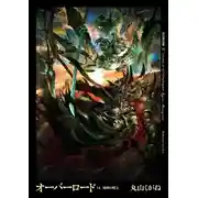 Постер книги Ведьма разрушенной страны