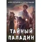 Постер книги Тайный паладин