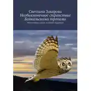 Постер книги Необыкновенное странствие Байкальскими тропами. Философские сказки о любви и мудрости