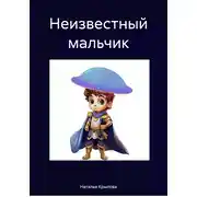 Постер книги Неизвестный мальчик