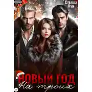 Постер книги Новый год на троих