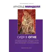 Постер книги Сидя в огне. Преобразование больших групп через конфликт и разнообразие