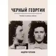 Постер книги Черный георгин