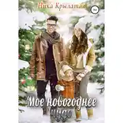Постер книги Мое новогоднее чудо