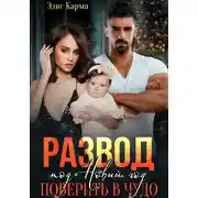 Постер книги Развод под Новый год. Поверить в чудо