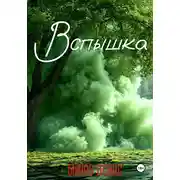 Постер книги Вспышка