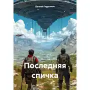 Постер книги Последняя спичка
