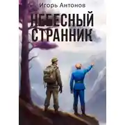Постер книги Небесный странник