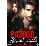 Постер книги Развод. Начать заново