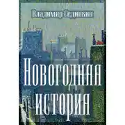 Постер книги Новогодняя история