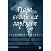 Постер книги Пара вязаных варежек