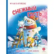 Постер книги Снежный гость