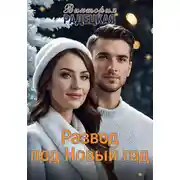 Постер книги Развод под Новый год