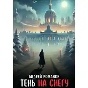 Постер книги Тень на снегу