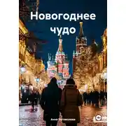 Постер книги Новогоднее чудо