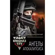 Постер книги Ангелы апокалипсиса