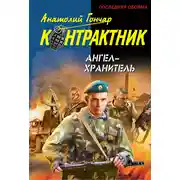 Постер книги Ангел-хранитель
