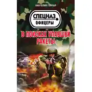 Постер книги В поисках упавшей ракеты
