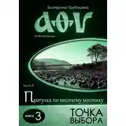 Постер книги Точка выбора (серия: Аз Фита Ижица. Часть I: Прогулка по висячему мостику. Книга 3)