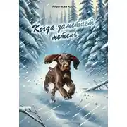 Постер книги Когда заметает метель