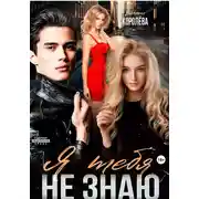 Постер книги Я тебя не знаю