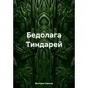 Постер книги Бедолага Тиндарей