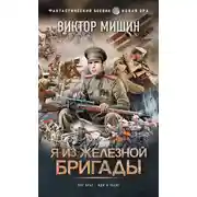 Постер книги Я из Железной бригады