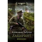 Постер книги Лабиринт. Феникс