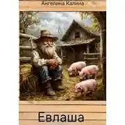 Постер книги Евлаша