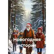 Постер книги Новогодняя история