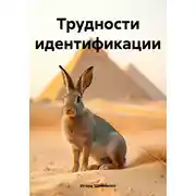 Постер книги Трудности идентификации