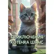 Постер книги Приключения котенка Шанс