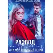 Постер книги Развод на Новый год, или Мой любимый гений