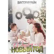 Постер книги Развод под Новый год