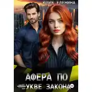 Постер книги Афера по букве закона